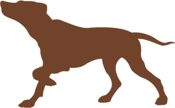 a silhouette of a dog pointing with his nose to the newsletter signup