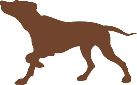 a silhouette of a dog pointing with his nose to the newsletter signup