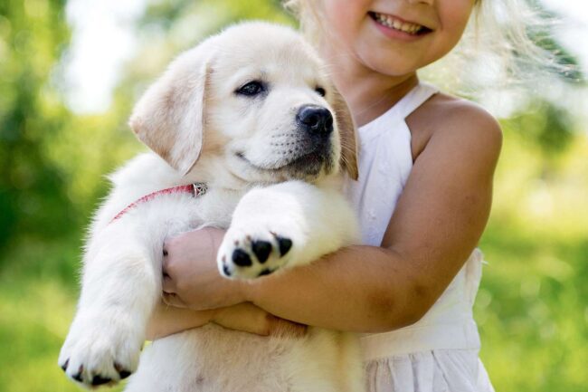 young girl holding a puppy